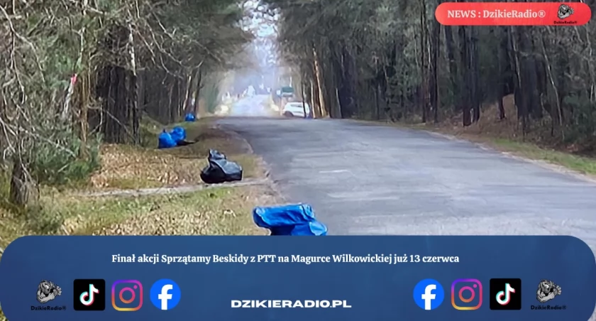 Finał akcji Sprzątamy Beskidy z PTT na Magurce Wilkowickiej już 13 czerwca