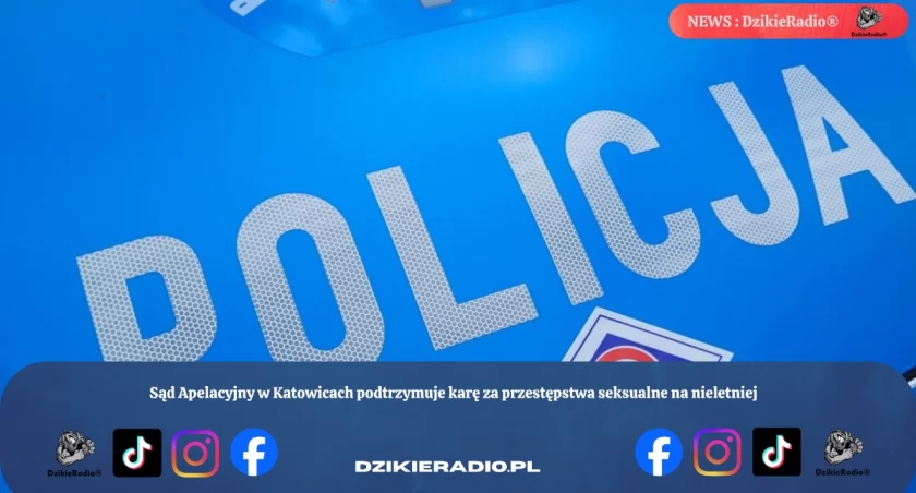 Sąd Apelacyjny w Katowicach podtrzymuje karę za przestępstwa seksualne na nieletniej