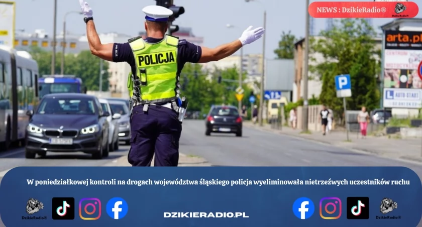 Śląska akcja Trzeźwość zatrzymała pijanych kierowców na drogach regionu