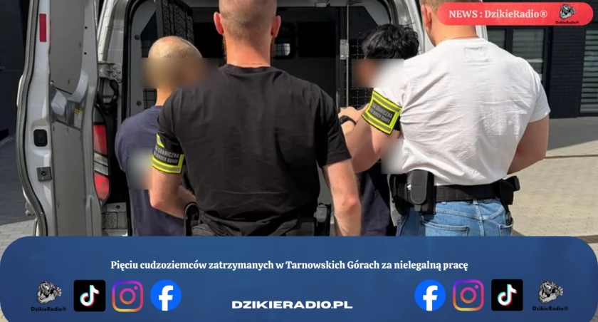 Pięciu cudzoziemców zatrzymanych w Tarnowskich Górach za nielegalną pracę