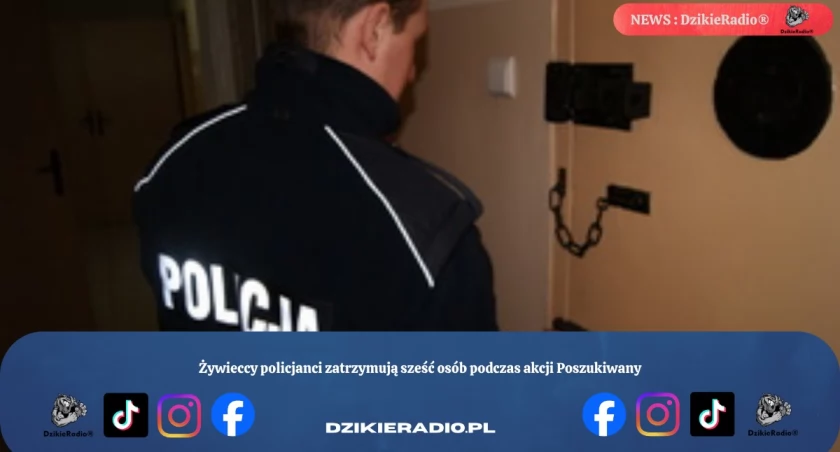 Żywieccy policjanci zatrzymują sześć osób podczas akcji Poszukiwany