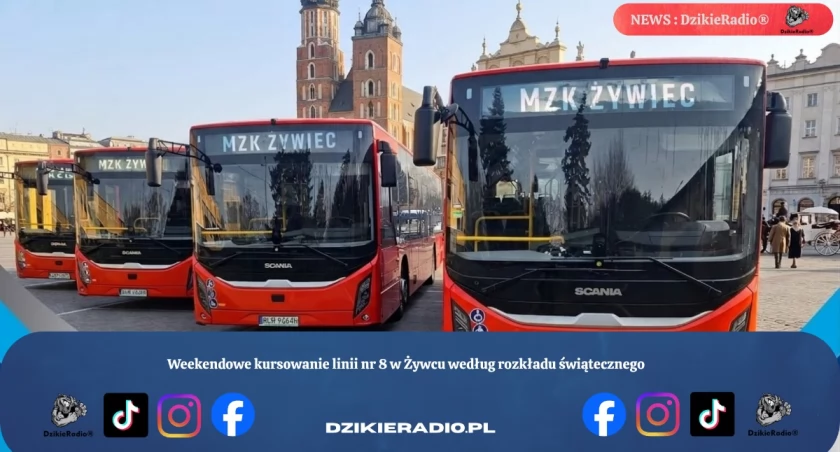 Weekendowe kursowanie linii nr 8 w Żywcu według rozkładu świątecznego