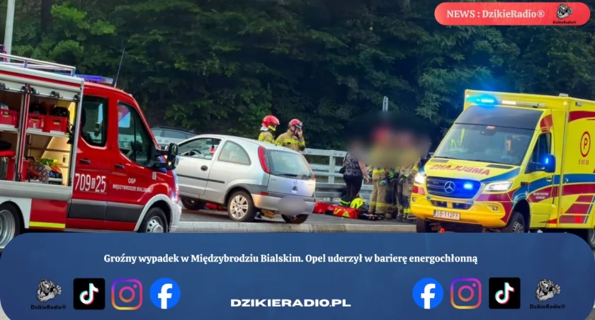 Groźny wypadek w Międzybrodziu Bialskim. Opel uderzył w barierę energochłonną