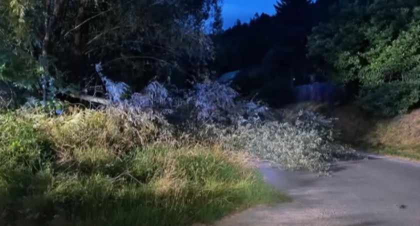 Strażacy z OSP Czernichów-Tresna usunęli powalone drzewa po silnym wietrze