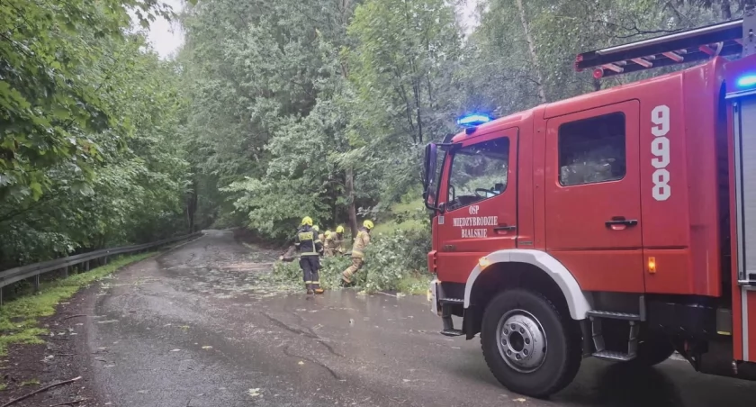 Załamanie pogody w Międzybrodziu Bialskim wymusiło szybkie działania strażaków