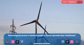 Planowane przerwy w dostawie prądu w Żywcu