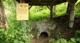 Historia huty szkła w Złatnej Kluczowy zakład XIX wieku