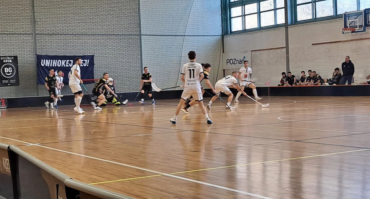 Ekstraliga unikoheja. Ambitny beniaminek z Poznania kontra mistrz Polski