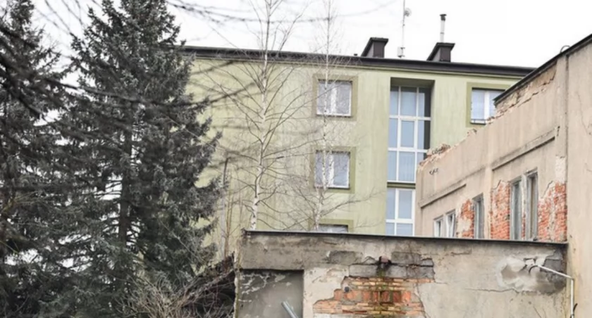 Kino zburzone, brzozy ocalały