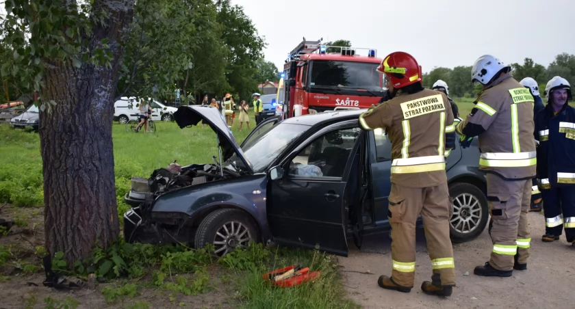 Trafił w jedyne drzewo