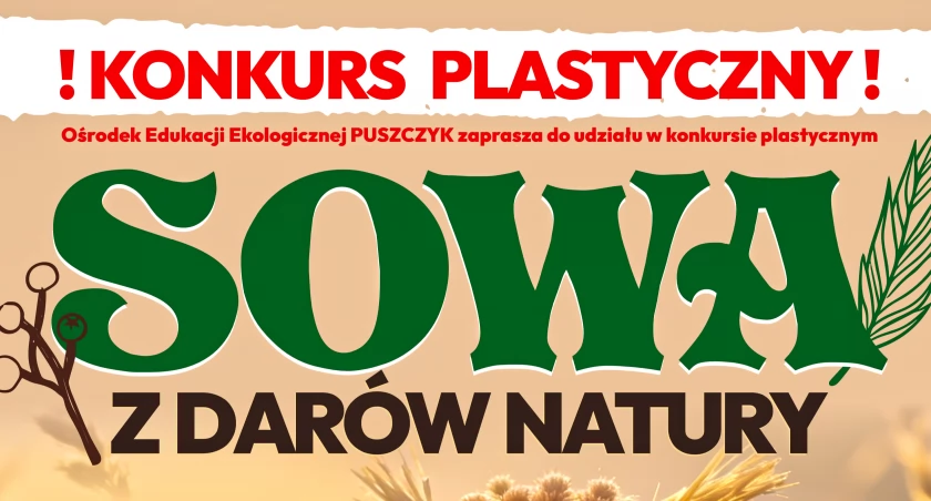 Sowa z darów natury