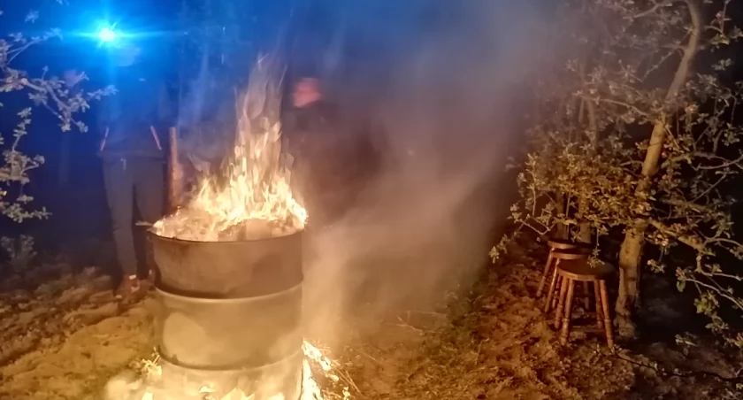 Sadownicy walczą z przymrozkami