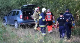 Tragedia w czasie wycinki drzew
