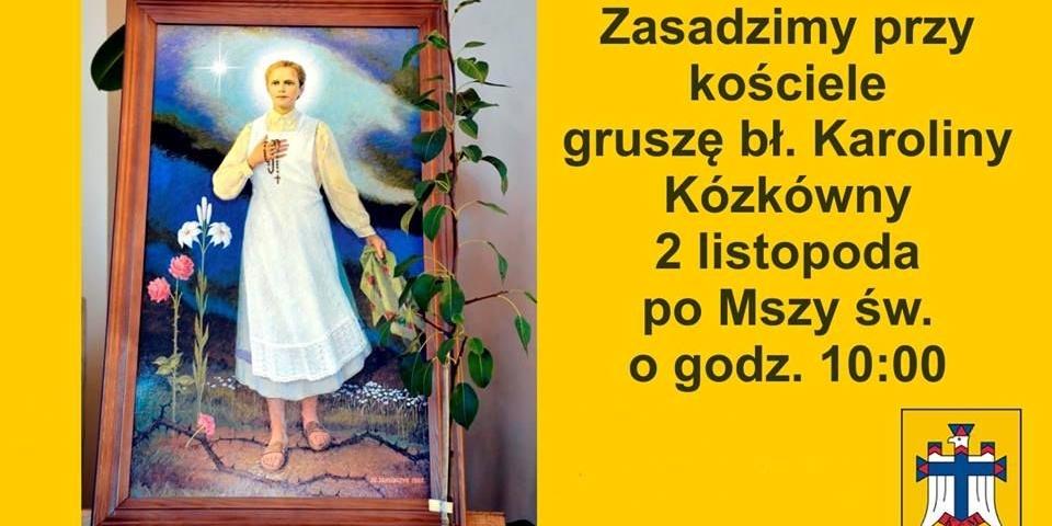 Grusza ku pamięci błogosławionej