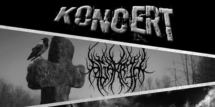 Koncerty na weekend
