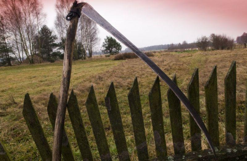 Wyłudził, czy... nie skosił?