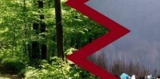 Walczyli i wywalczyli