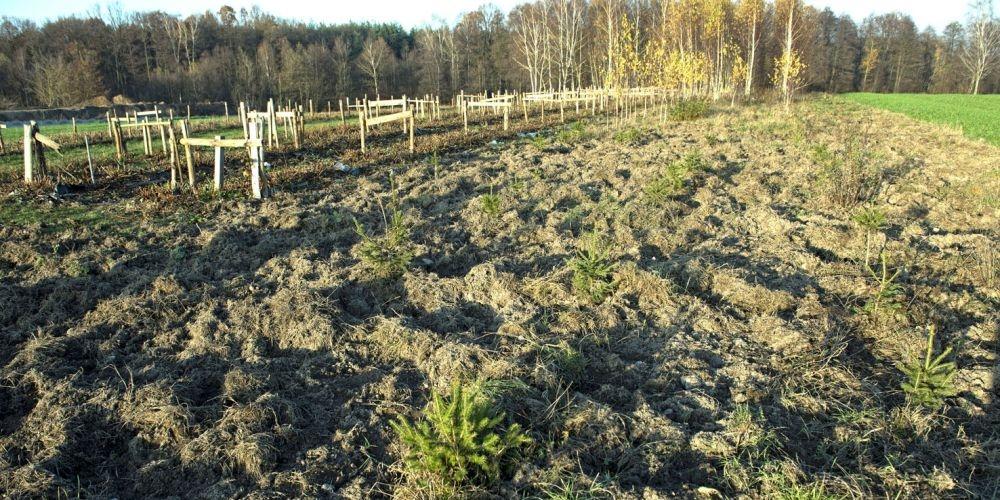 Odszkodowania to kpina