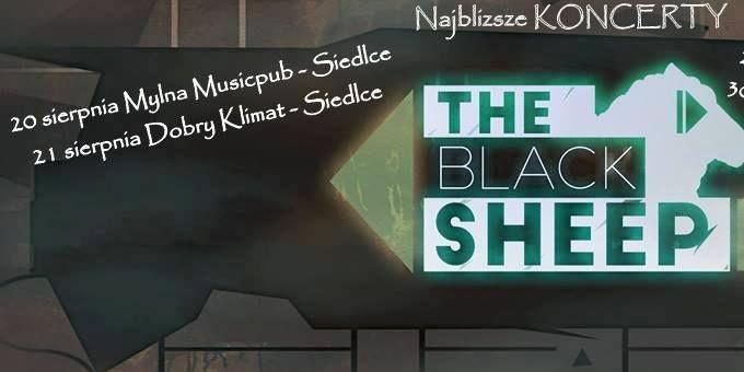 The Black Sheep w Siedlcach