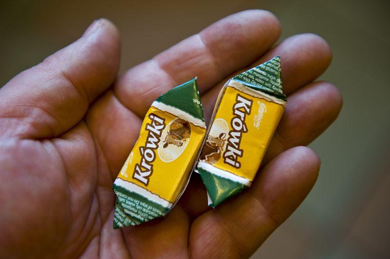 Krówkowa korupcja