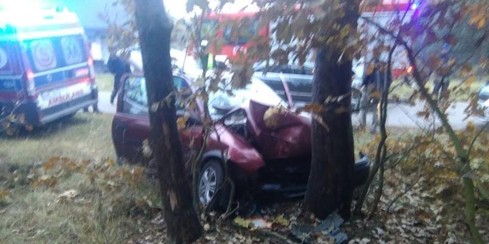 Samochód uderzył w drzewo