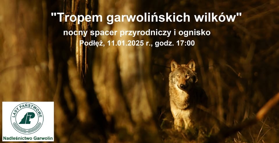 Tropem garwolińskich wilków