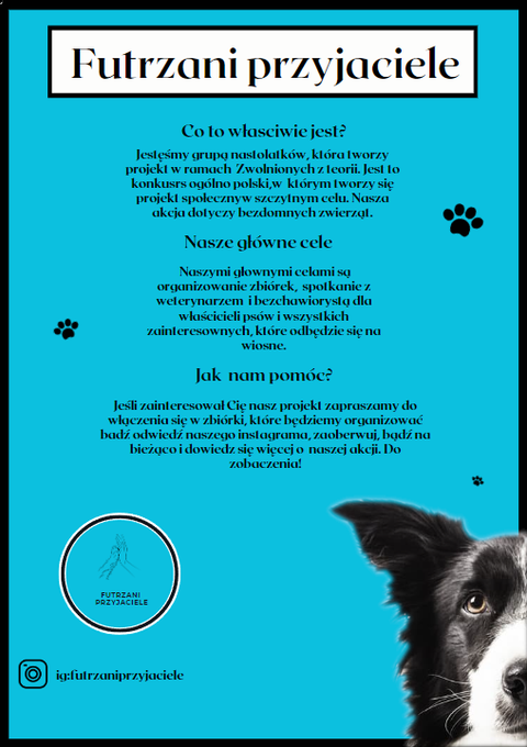 Młodzież z pomocą zwierzętom