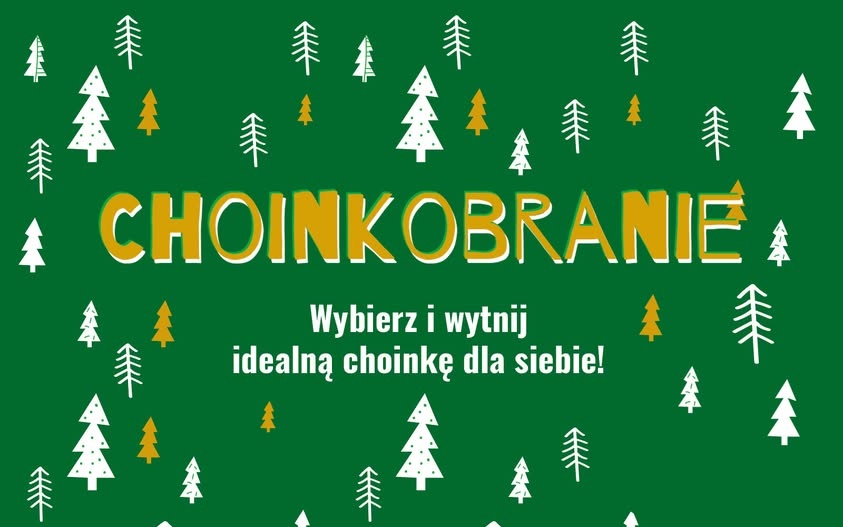 Kup choinkę prosto z lasu!