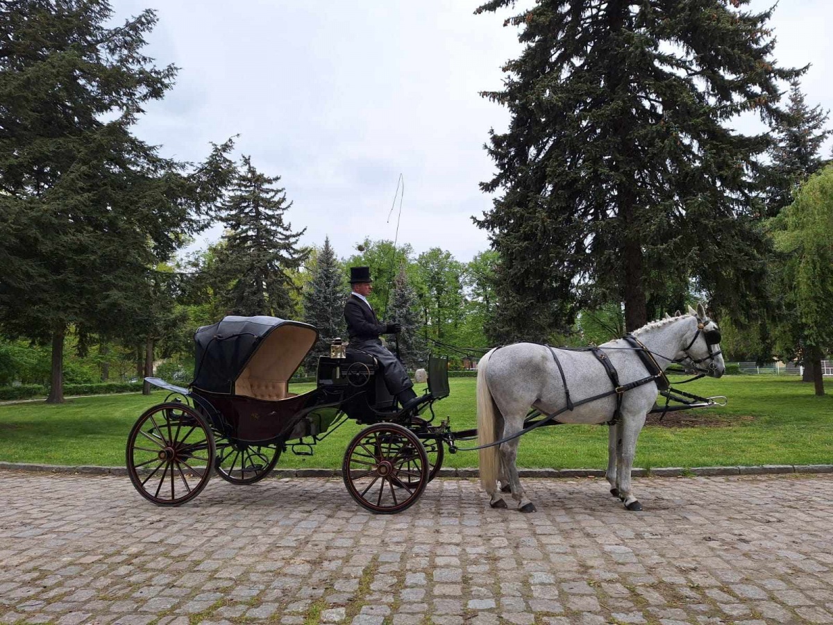Poprowadzi wykład, a i Chopina woził...