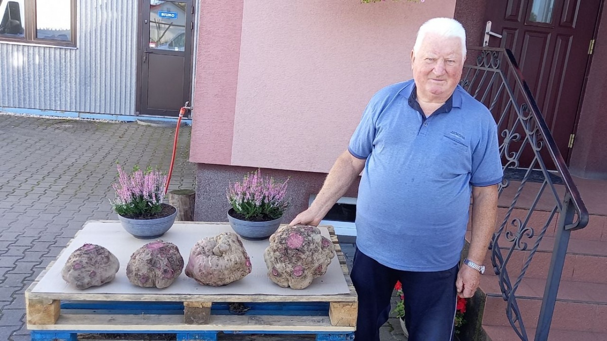 Zygmunt Krasowski z Wyroząb pobił „buraczany rekord”
