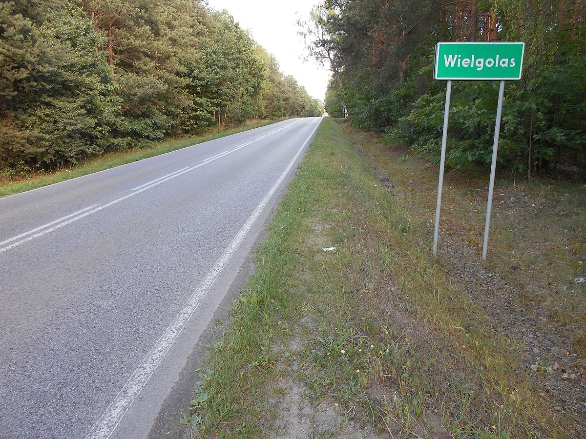 Duże drzewa, duży kłopot