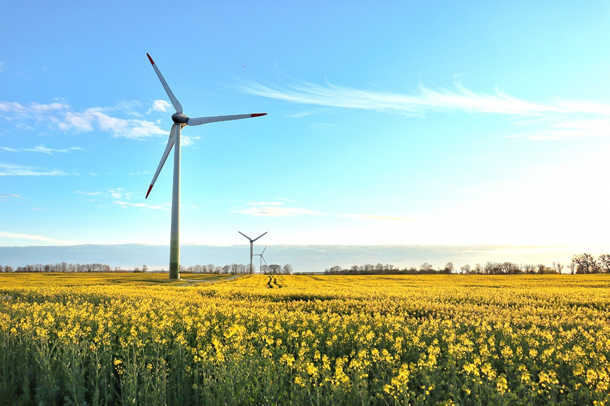 Energia z wiatru, czyli inwestycja,która przynosi korzyści dla wszystkich