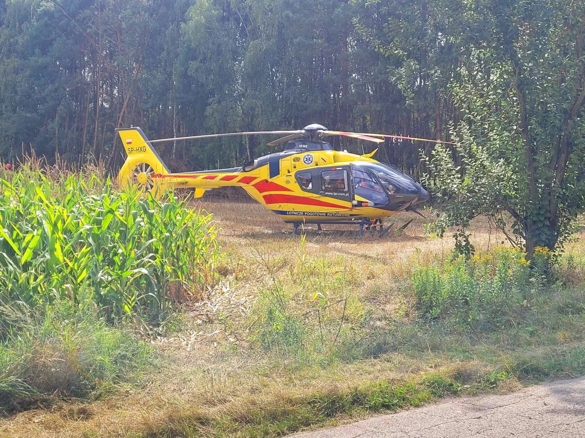 Wypadek podczas wycinki drzewa