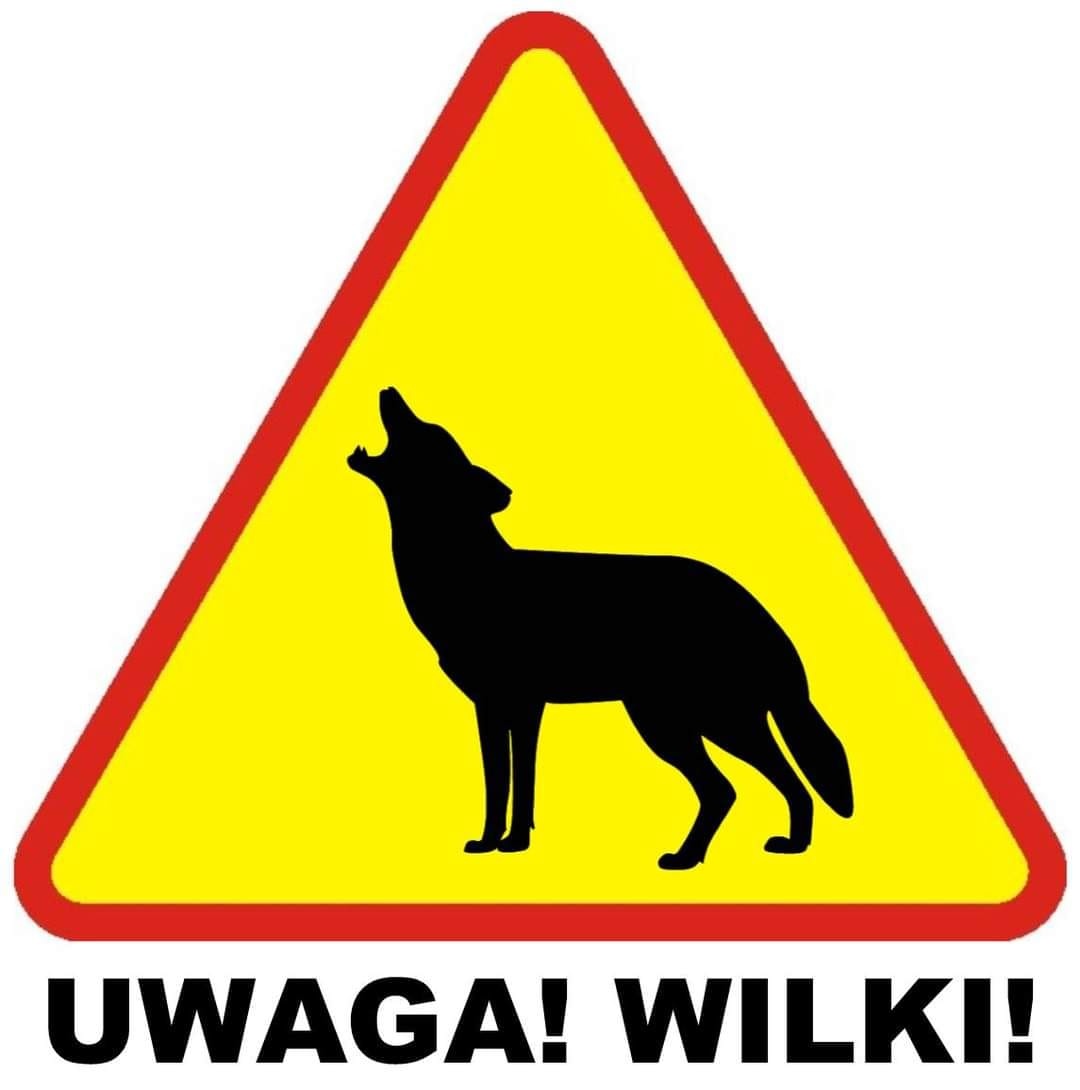 Powiat łukowski: Uważaj na wilki!