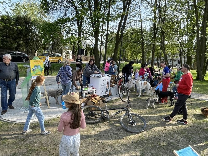 Wybieg dla czworonogów