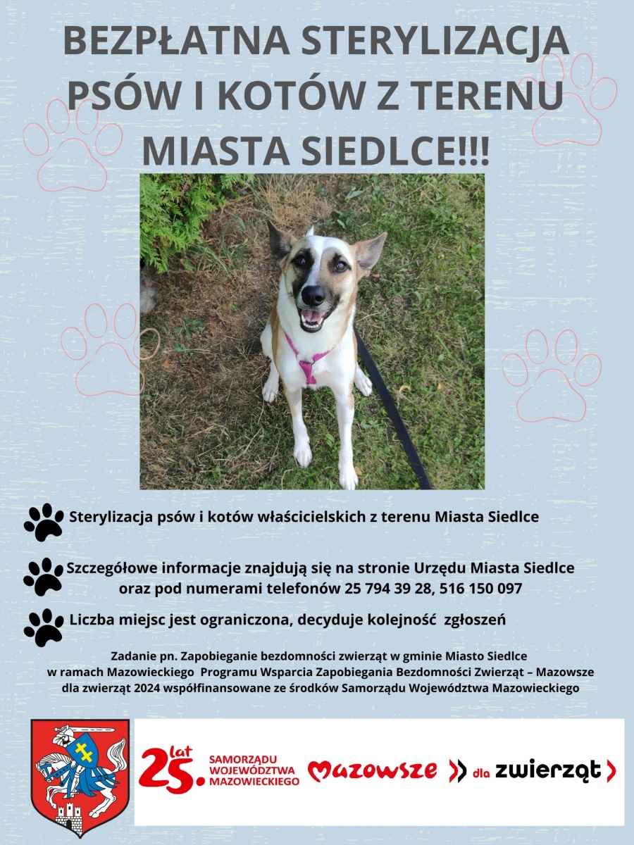 Złóż wniosek o bezpłatną sterylizację swojego pupila!