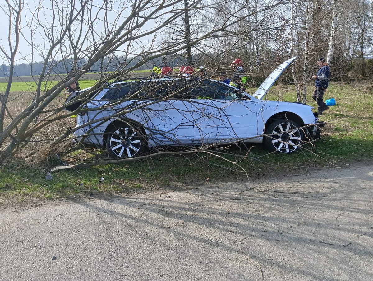 Uderzył w drzewo i dachował