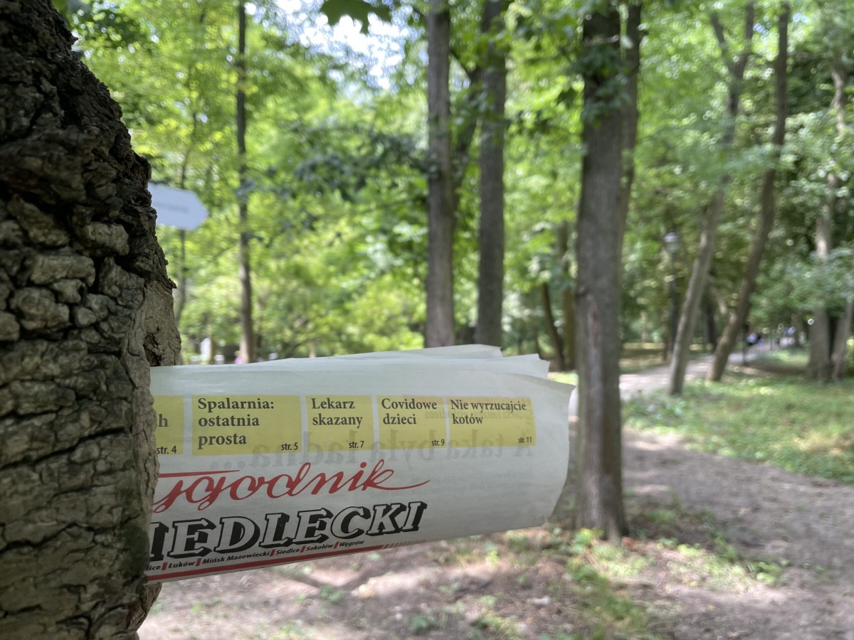 Zapowiedź najnowszego wydania 