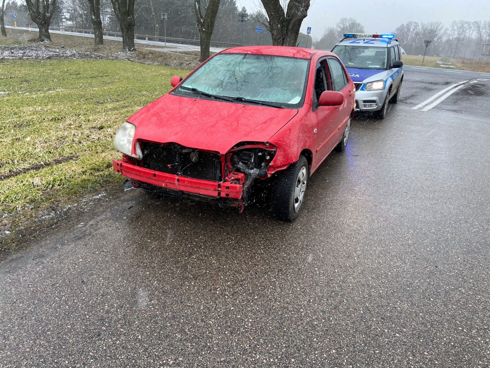 Niecodzienna sytuacja w Ryczołku
