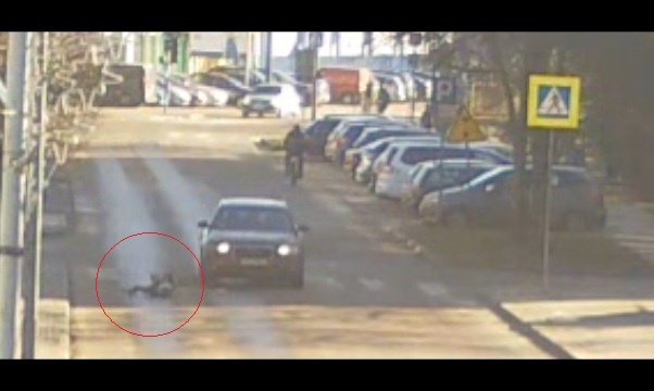 Łuków: 12-latka potrącona na pasach. Kierowca tłumaczył się, że oślepiło go słońce (film)