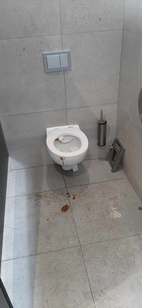 Dlaczego ludzie dewastują toalety?