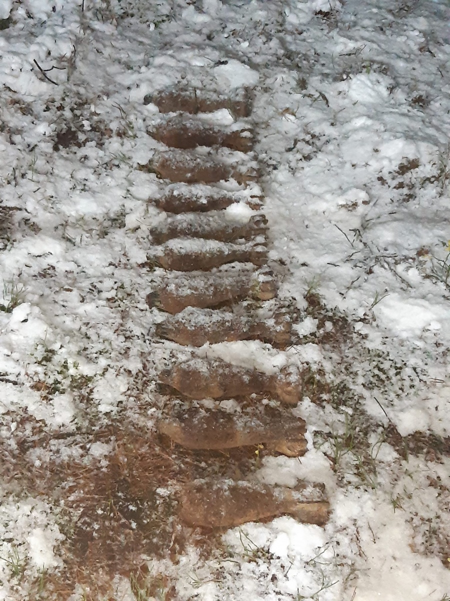 Kilkanaście pocisków w lesie