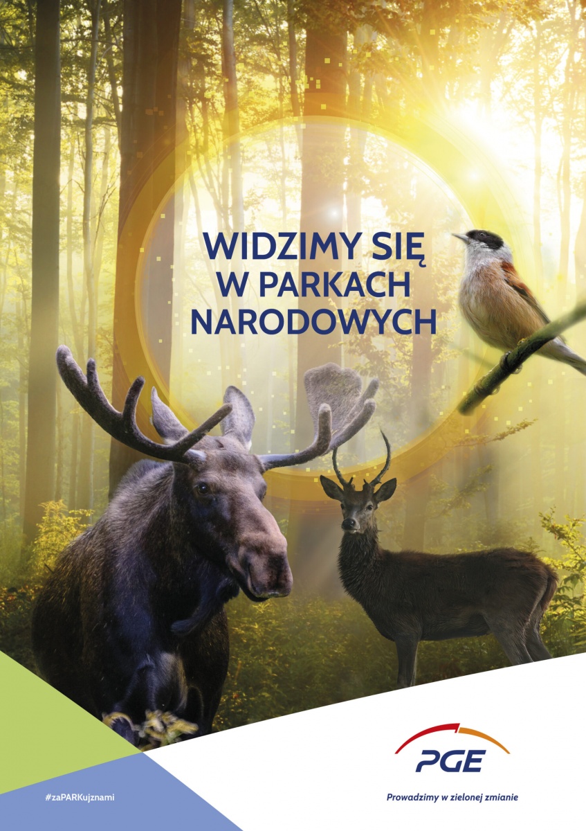 Zobacz jesienną odsłonę Parków Narodowych współpracujących z PGE