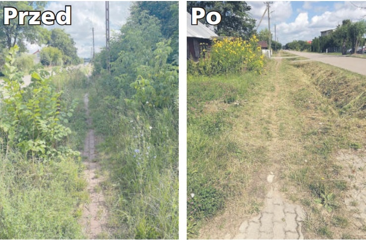 Dzięki interwencji 