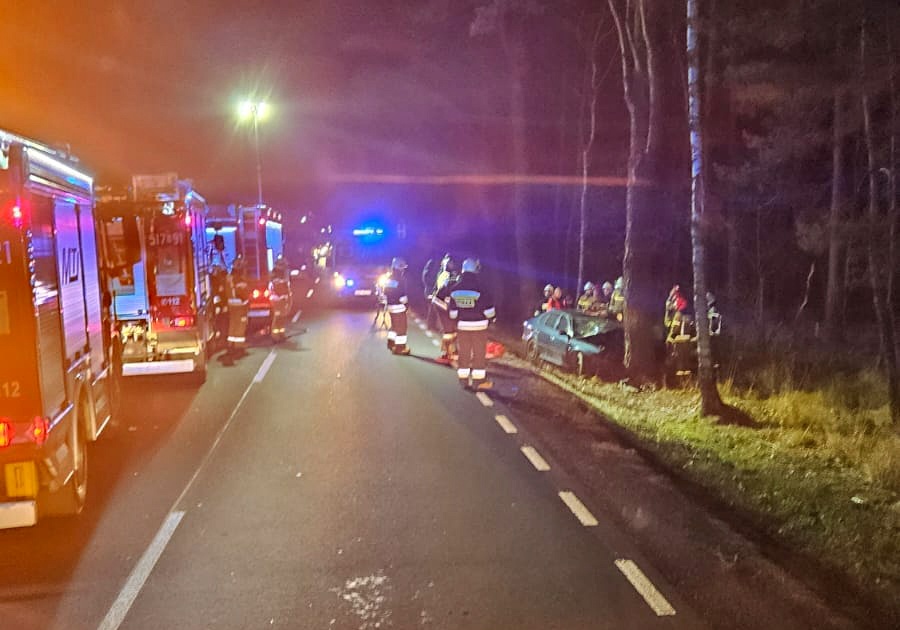 Wypadł z drogi i uderzył w drzewo