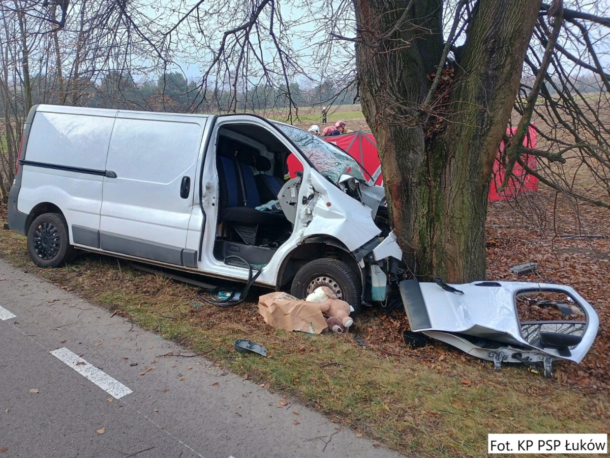 Uderzył w przydrożne drzewo. 19-letni kierowca trafił do szpitala