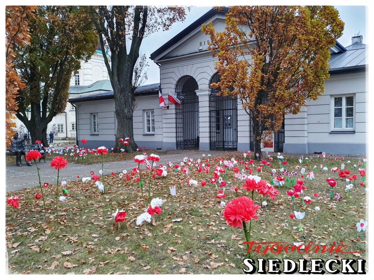 Patriotyczny ogród w Siedlcach