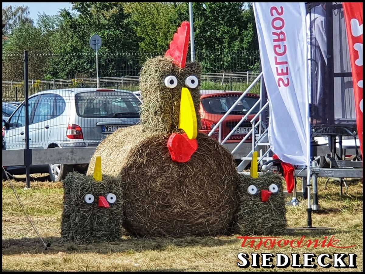 Rozpoczęły się dożynki gminy Siedlce
