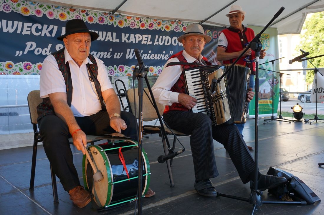 Festiwal Kapel Ludowych w Wiśniewie (zdjęcia)