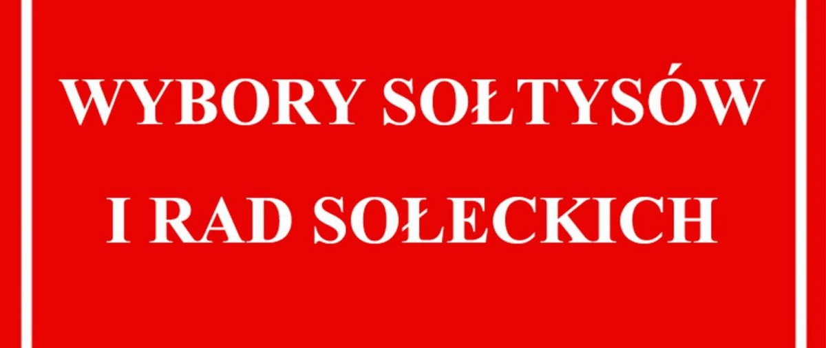 Wybory na sołtysów